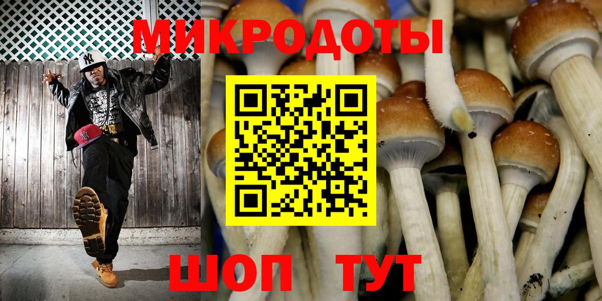 Галлюциногенные грибы GOLDEN TEACHER Тихорецк
